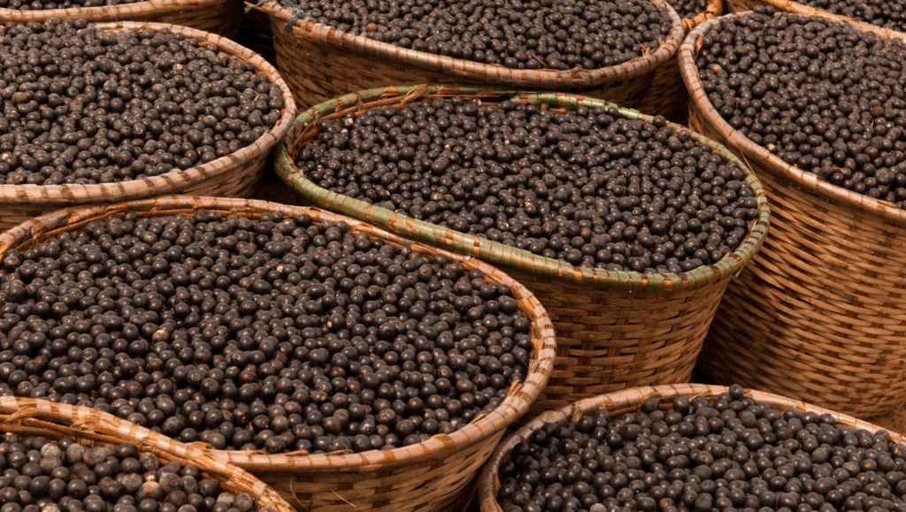 Design sem nome (21)